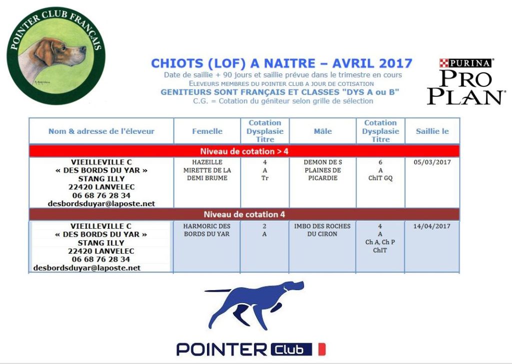 Des Bords Du Yar - Chiots 2017 = bientôt la fin des réservations !!!