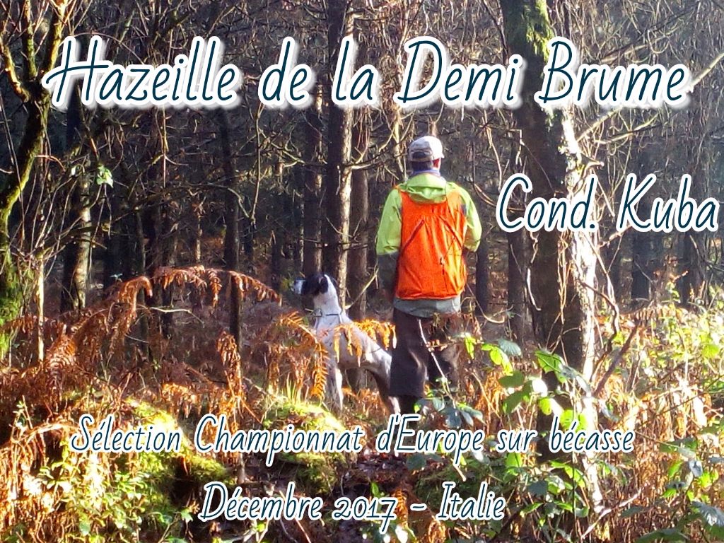 Des Bords Du Yar - Hazeille de la Demi Brume en équipe de France Bécasse !