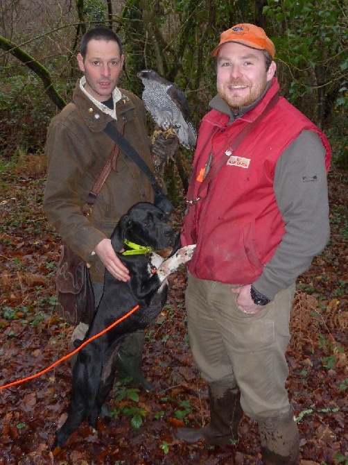 Des Bords Du Yar - Bilan week-end chasse au vol à la bécasse 