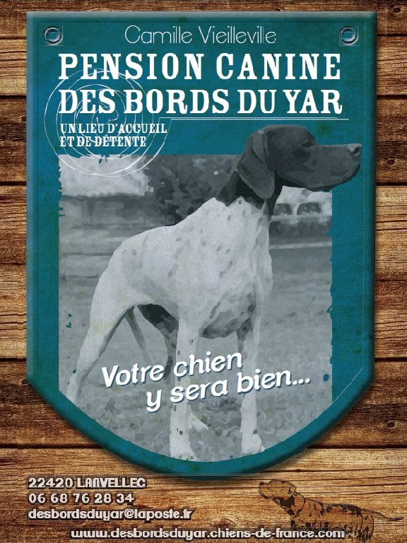 Des Bords Du Yar - Ouverture de la Pension canine - Présentation flyers -