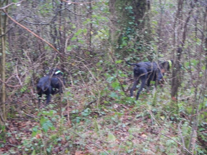 Des Bords Du Yar - 2 arrêts Harmoric DesBords Du Yar et 2 patrons de Lanfeust