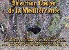  - Ch. Tr. Nahitis Des Bords Du Yar : SÉLECTION COUPE DE LA MÉDITERRANÉE 