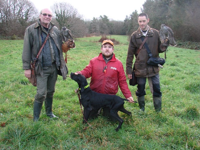 Des Bords Du Yar - Une première : la chasse en vol à l'autour de bécasses 