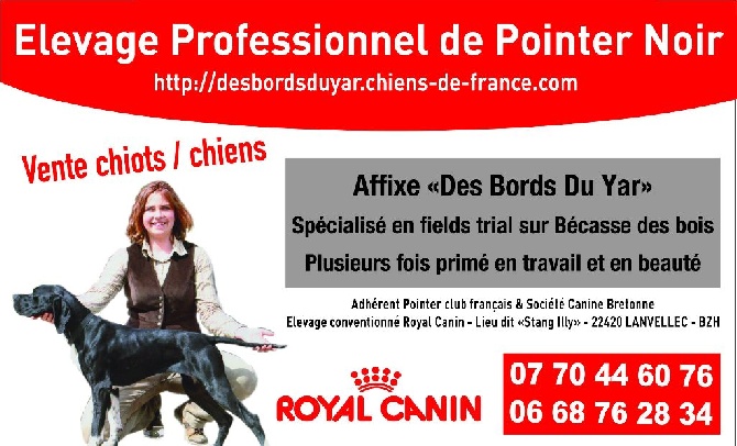 Des Bords Du Yar - Nouvelle pub par Royal Canin