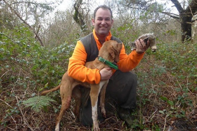 Des Bords Du Yar - Chasse à Lanvéoc le 16/01/2016 - Lalie DesBords Du Yar bien déclarée