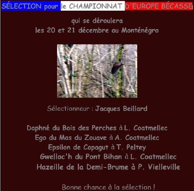Des Bords Du Yar - Hazeille De La Demi Brume est sélectionnée en équipe de France !!!!!