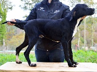 La Braize des Bords du Yar