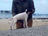 Nala des Bords du Yar