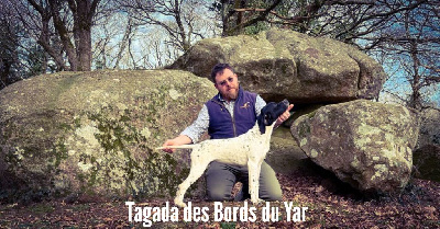 Tagada des bords du Yar