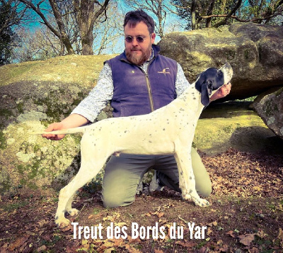 Treut des Bords du Yar